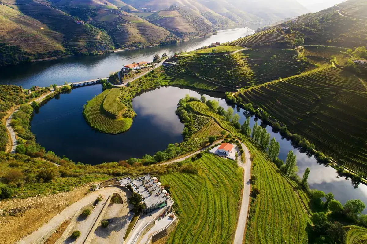 Vale do Douro — vinhas em socalcos e rio